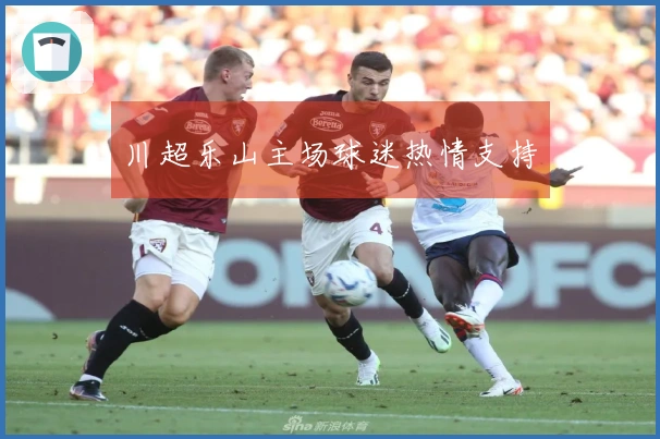 川超乐山主场球迷热情支持