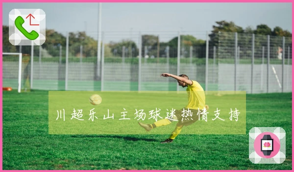 川超乐山主场球迷热情支持